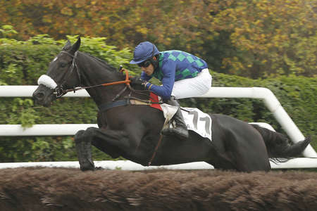 Actualités Hippiques